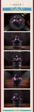 [Pre-order] Genshin Impact - Lyney Grin-Malkin Cat Moving Toy miHoYo