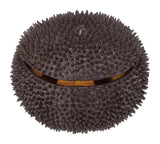 Nekotwo [Pre-order] Sea Urchin PUZZLE - Sea Urchin PUZZLE Megahouse